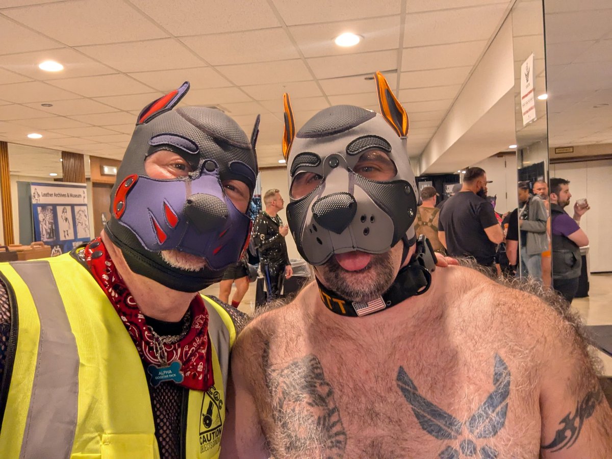 Bouncer.dog on bsky 🔜 COG A/B tweet media