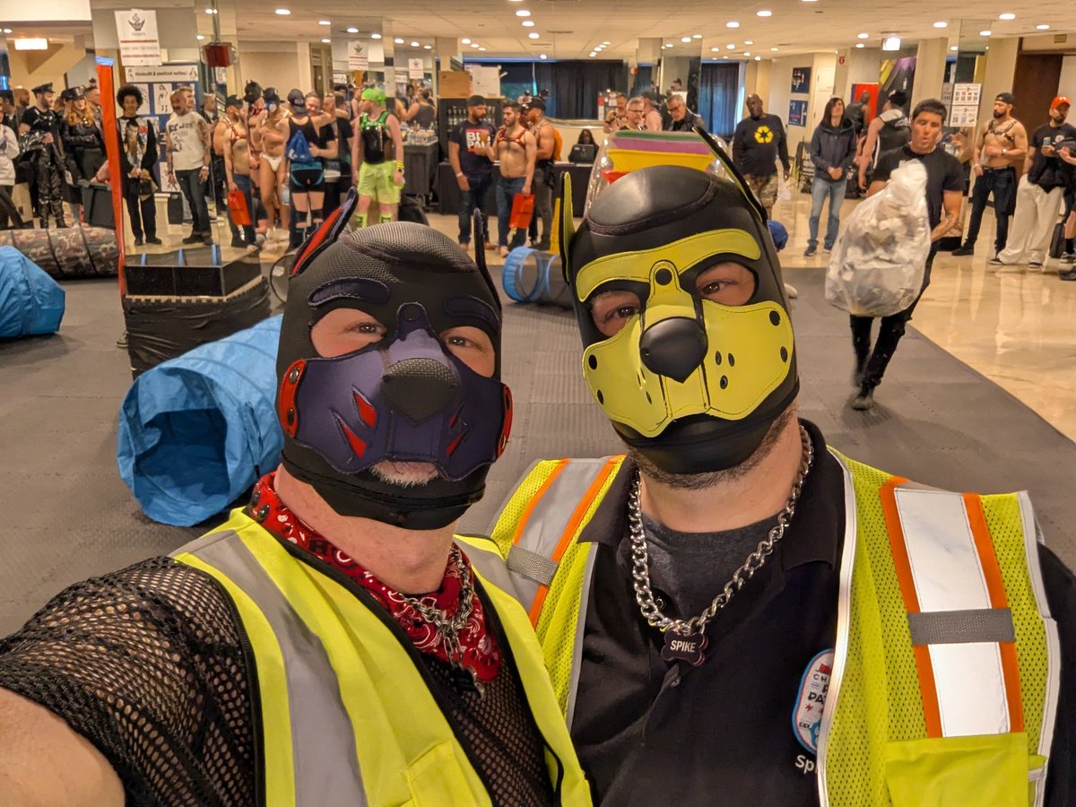 Bouncer.dog on bsky 🔜 COG A/B tweet media