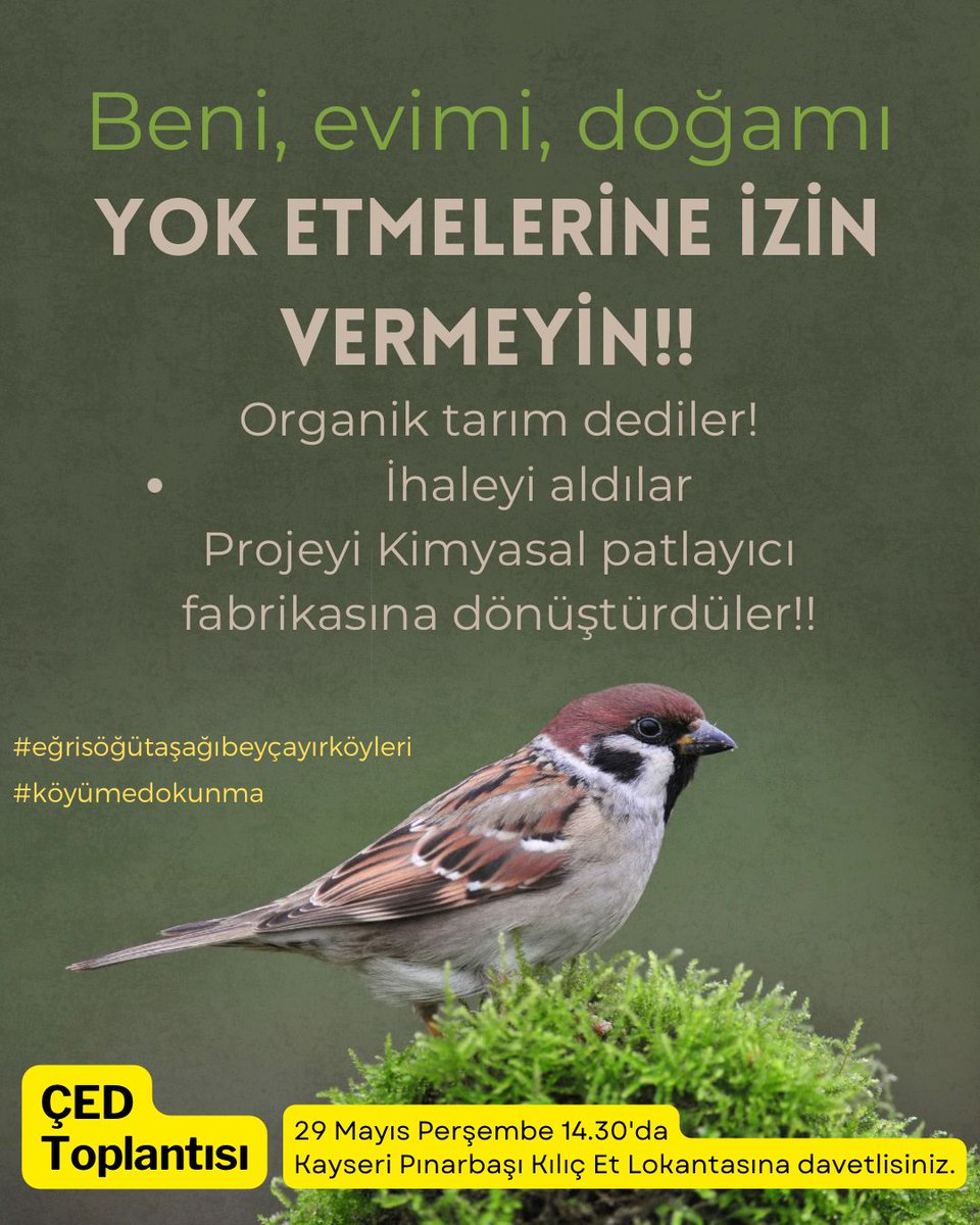FatmaOrten's tweet photo. #asağıbeycayıreğrisoeğuetkoeyleri https://t.co/HHdFBfjK6h