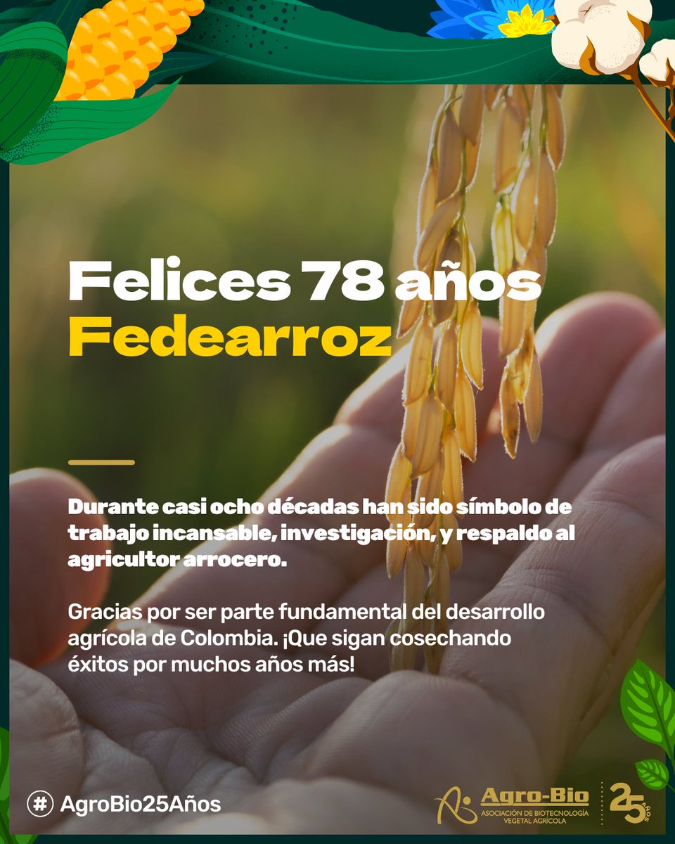 Agrobio_andina's tweet image. Su labor ha fortalecido la seguridad alimentaria del país, y su legado sigue sembrando futuro en cada cosecha. 🌾
Hoy celebramos a @FEDEARROZGREMIO, quienes con ciencia, esfuerzo y compromiso, han hecho del arroz un orgullo nacional.
#78AñosDeHistoria #Fedearroz…