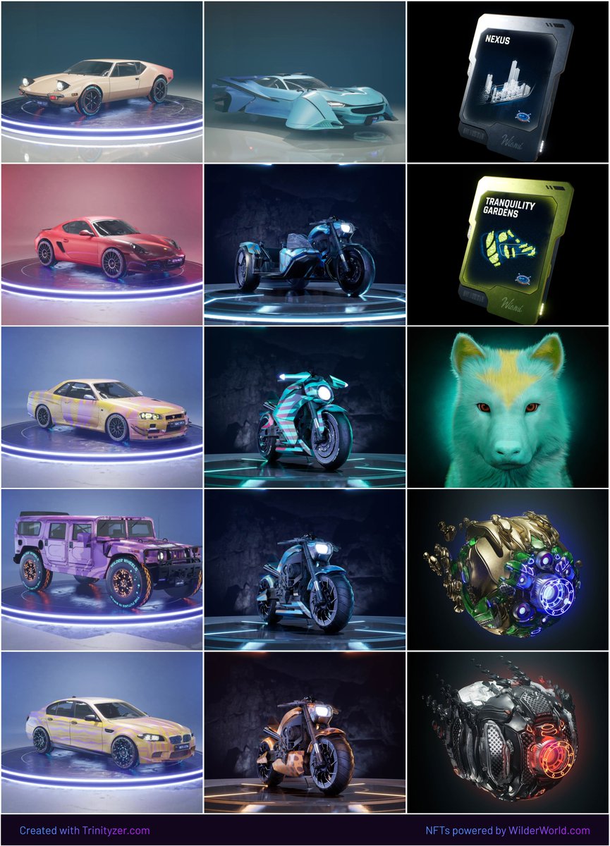 WildJoey tweet media