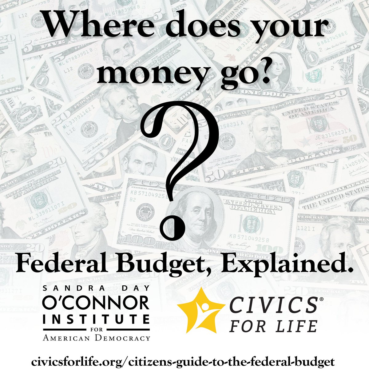 Where do your tax dollars really go?
The Citizens’ Guide on the Federal Budget explains it clearly, simply, and without partisanship. 🧾

Understand the big picture:
civicsforlife.org/citizens-guide…

#CivicsforLife #FederalBudget #CivicLearning #OConnorInstitute