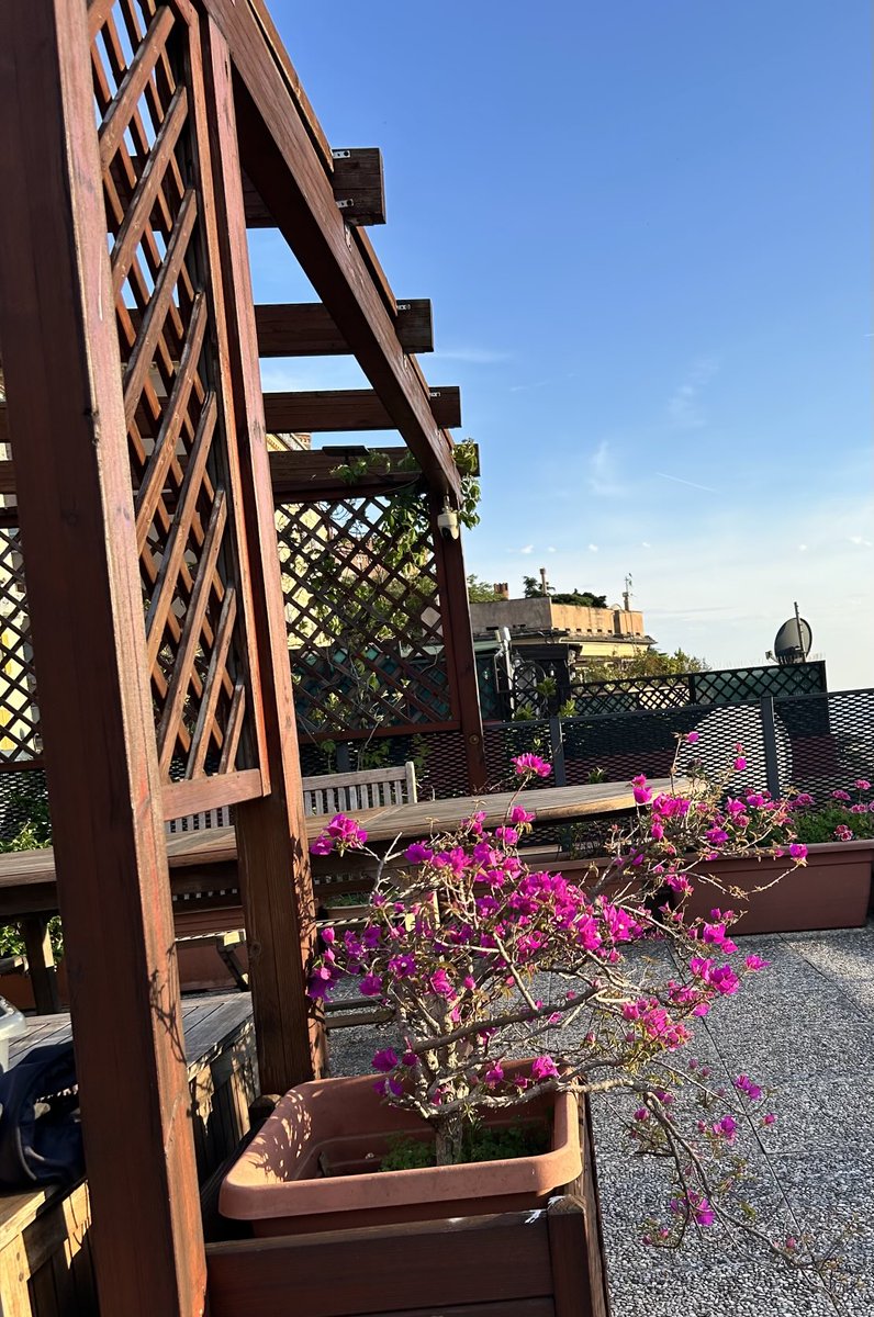 aktogenova's tweet photo. Tramonto di Primavera https://t.co/9FEiDKTpb2