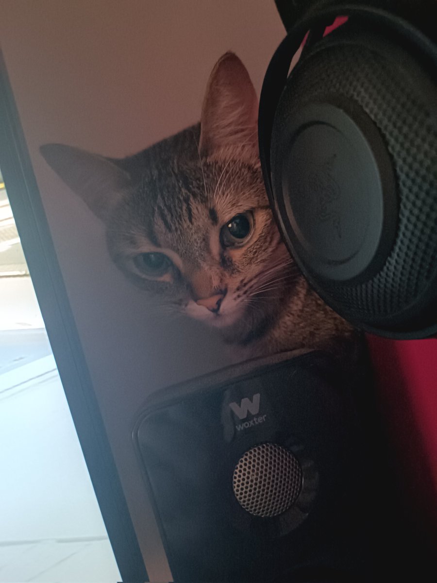 WillyVodka_98's tweet photo. Hace una temperatura como para que el demonio tenga calor y esta niña se va detrás de la Play y se pone donde salir todo el aire caliente ♨️ 🔥🫠 https://t.co/nTktfmEq0U