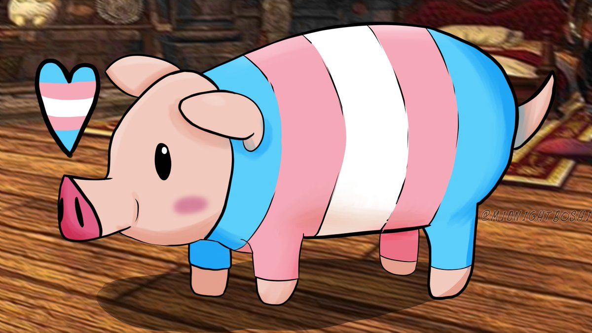 TRANS RIGHTS POOGIE!!!!