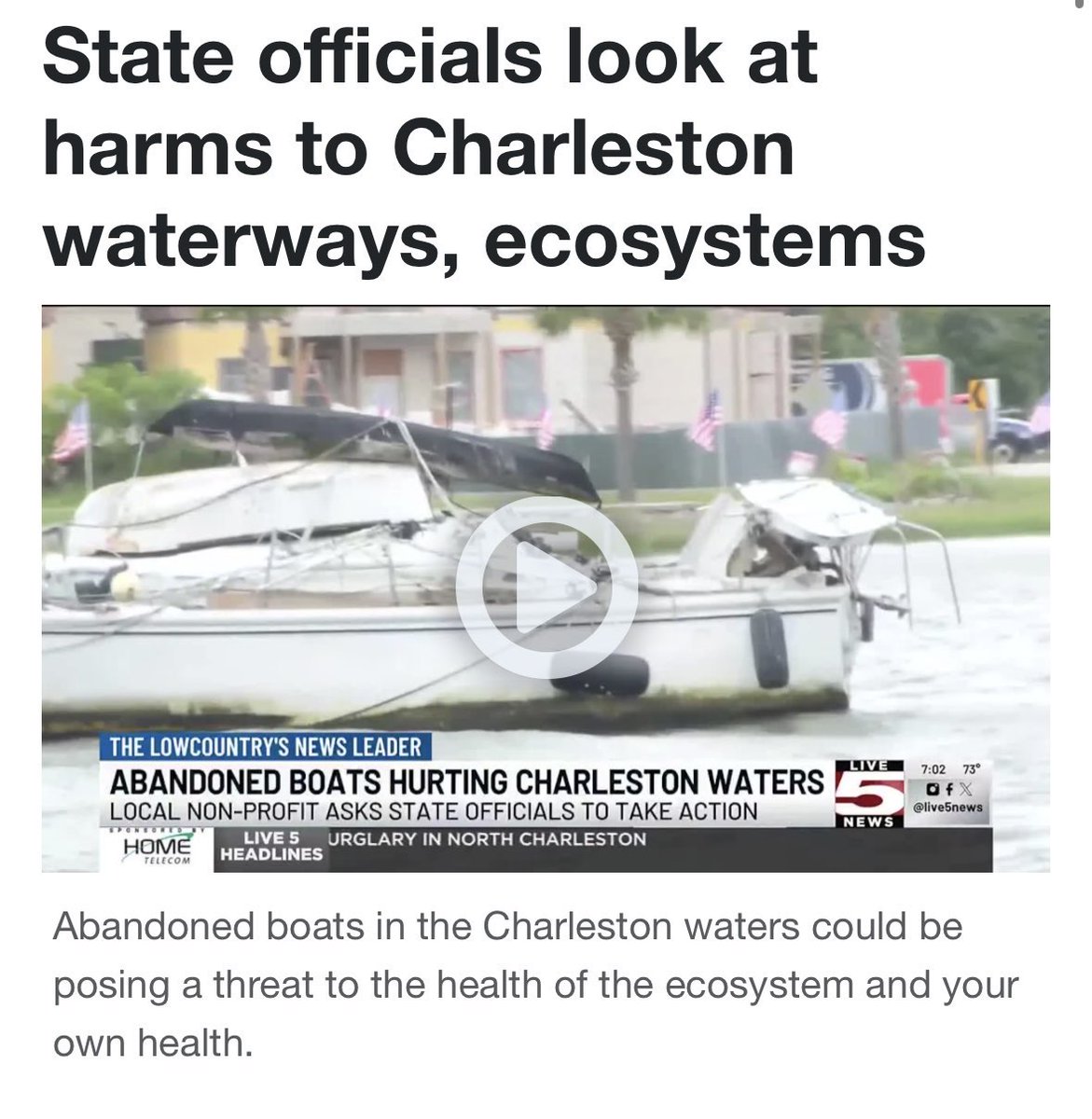 Rep. Nancy Mace tweet media