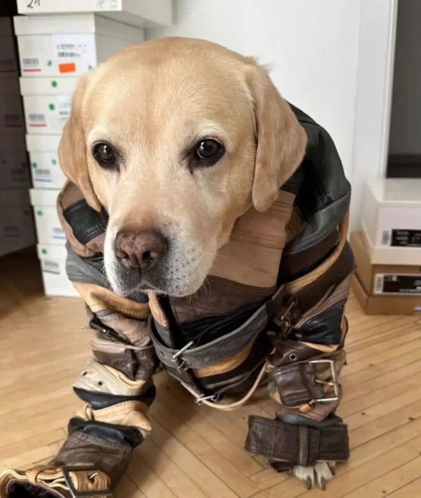 breaduhj's tweet image. 