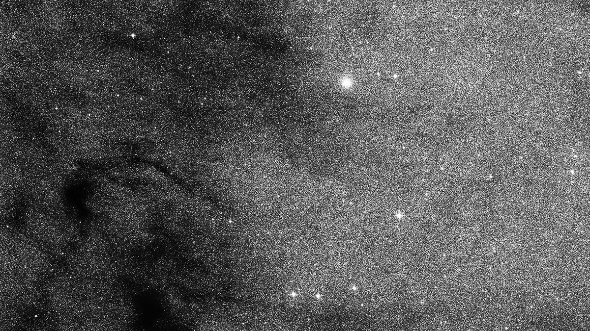 The Polygon Gallery tweet media