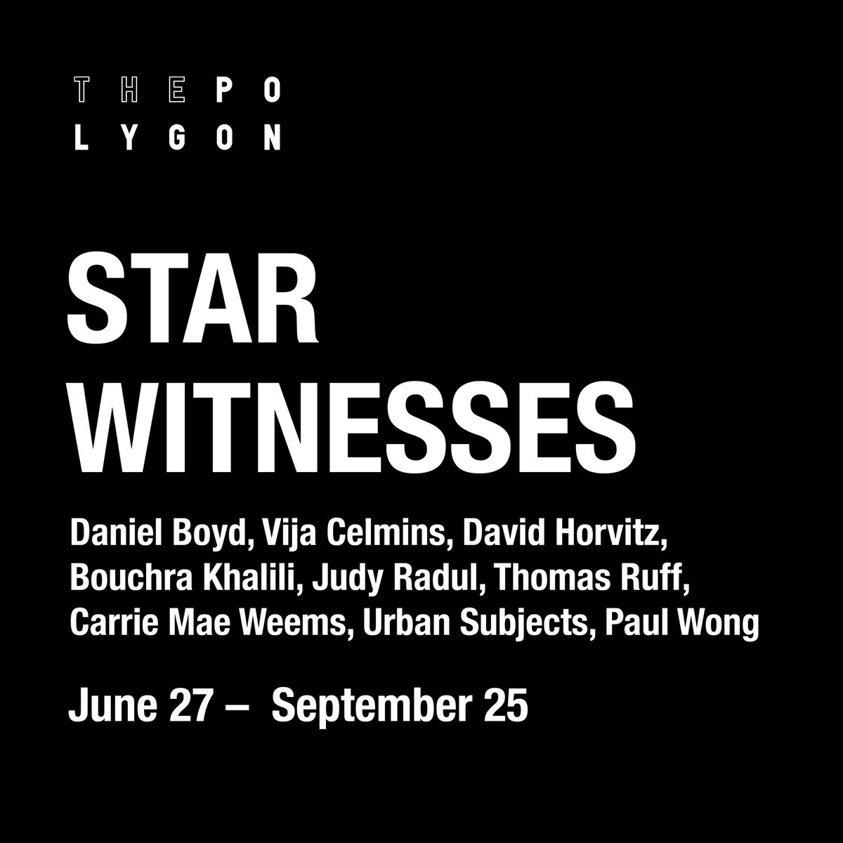 The Polygon Gallery tweet media