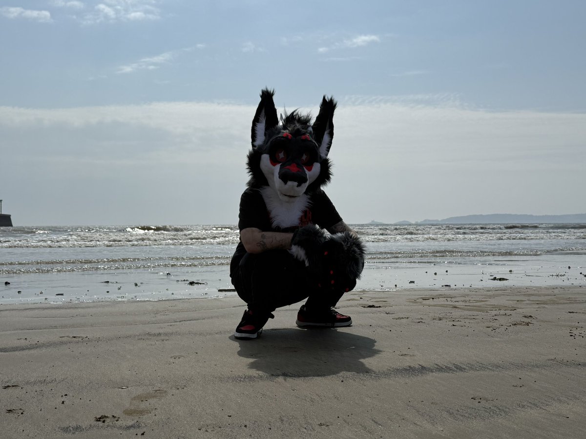 How bad is my reach on this app? The answer is very #furry #fursuit #furryfandom