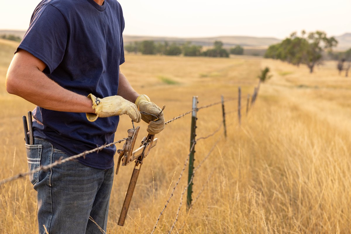 Did you know that the 2022 census reported an upward trend among AI/AN producers who identify their farming operations as their primary job, rather than secondary to off-farm employment? 

Learn more from the 2022 Census of Ag at ow.ly/LvXo50VZGqj

#TribalAg #2022AgCensus