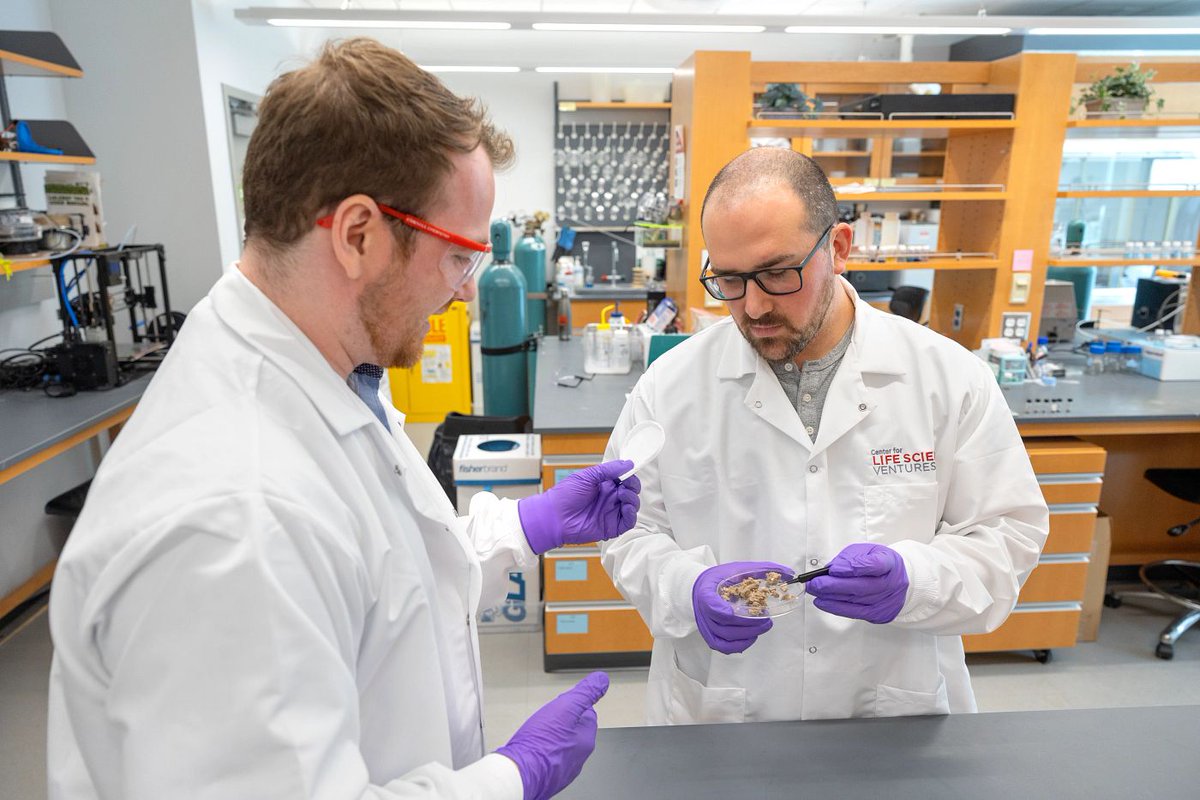 Cornell Research & Innovation (@cornellrsrch) on Twitter photo <a href="/Cornell/">Cornell University</a> drives local economic growth!
$23.2M raised in 2024 by <a href="/revIthaca/">Rev: Ithaca Startup Works</a>, Praxis Center and Center for Life Science Ventures & $23M in research funding invested in our community.
See how we're boosting economies in Ithaca and Tompkins County 📈 bit.ly/4mzigP5 <a href="/Cornell/">Cornell University</a> drives local economic growth!
$23.2M raised in 2024 by <a href="/revIthaca/">Rev: Ithaca Startup Works</a>, Praxis Center and Center for Life Science Ventures & $23M in research funding invested in our community.
See how we're boosting economies in Ithaca and Tompkins County 📈 bit.ly/4mzigP5
