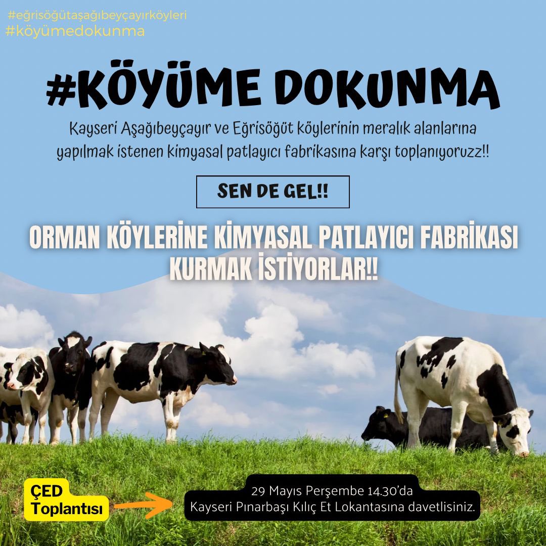 Zahid Şafak (@nehuszahid) on Twitter photo #patlayıcımaddeistemiyoruz #köyümedokunma #eğrisöğütaşağıbeyçayırköyleri
<a href="/kayserivaliligi/">T.C.Kayseri Valiliği</a> @kayseribsb <a href="/csbgovtr/">T.C. Çevre, Şehircilik ve İklim Dğş. Bakanlığı</a> <a href="/gokmen_cicek_/">Gökmen Çiçek</a> <a href="/temavakfi/">TEMA Vakfı</a> <a href="/Kayseriradartv/">Kayseri Radar Tv</a> #patlayıcımaddeistemiyoruz #köyümedokunma #eğrisöğütaşağıbeyçayırköyleri
<a href="/kayserivaliligi/">T.C.Kayseri Valiliği</a> @kayseribsb <a href="/csbgovtr/">T.C. Çevre, Şehircilik ve İklim Dğş. Bakanlığı</a> <a href="/gokmen_cicek_/">Gökmen Çiçek</a> <a href="/temavakfi/">TEMA Vakfı</a> <a href="/Kayseriradartv/">Kayseri Radar Tv</a>