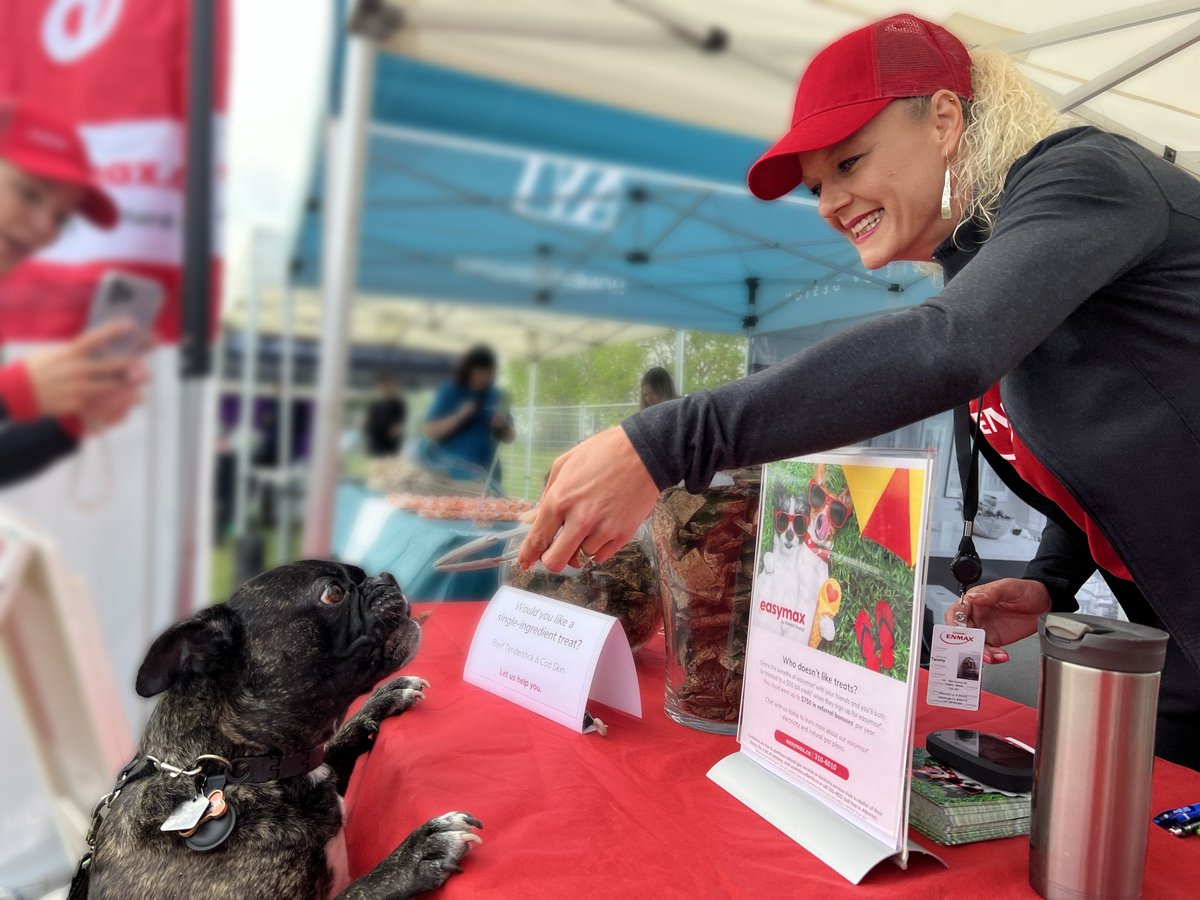 🐾 We’re leashed up and ready for walkies at the <a href="/CalgaryHumane/">Calgary Humane Society</a>  Dog Jog on May 31! 🐶 

Sniff out the Easymax tent for 🦴 treats, 🎁 a chance to win a $200 Pet Planet gift card, and ⚡ tail-wagging energy chats! 

Stay pup-tastic 👉 easymax.ca