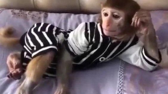 Hoy streamcito a las 16:00 (hora 🇨🇱) nos vimoh por twitch

twitch.tv/Charlesg0_