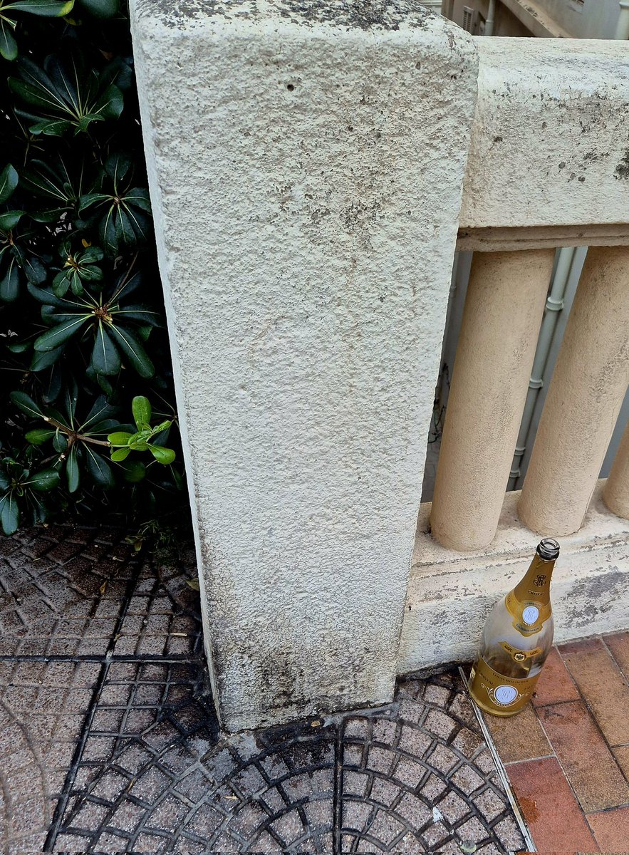 Looks like the F1 tourists finally left... <a href="/MiamKitty/">Kitty Miam Miam</a>