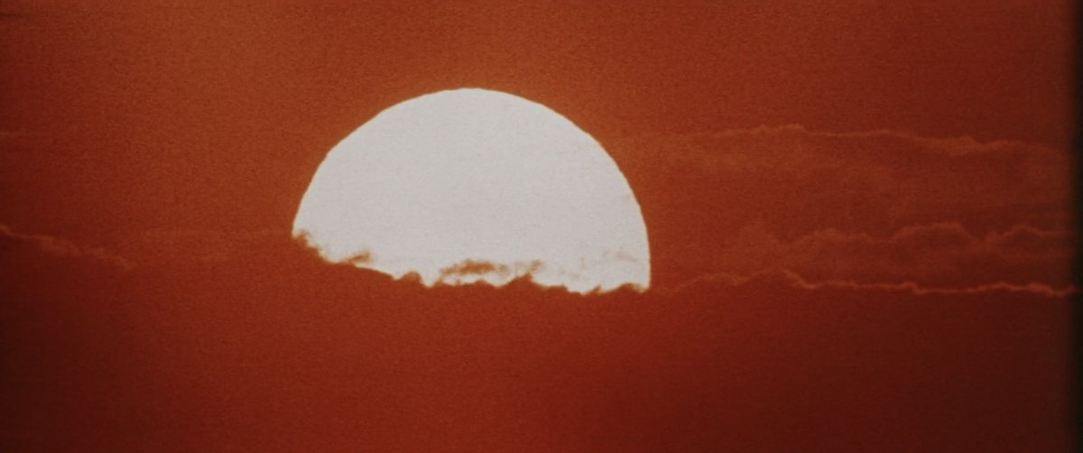 HauntedMovies's tweet image. Messiah of Evil (1974) dir. Willard Huyck