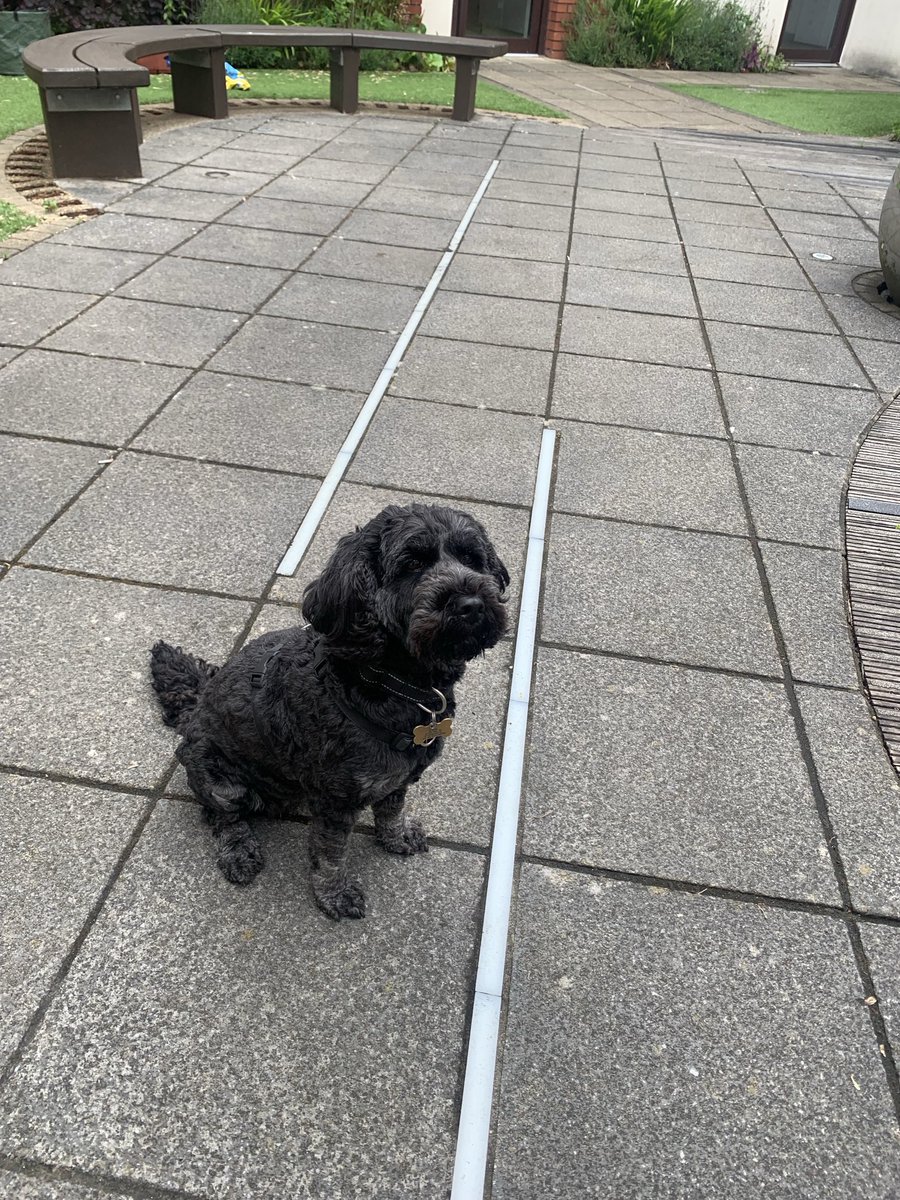Jo Jackson💙🌈 (@jojacko74) on Twitter photo Unfortunately our peer review didn’t take place today but we still had a special visit from Venus who is a hearing support dog <a href="/PennineCareNHS/">Pennine Care NHS FT</a> RHS care hub Unfortunately our peer review didn’t take place today but we still had a special visit from Venus who is a hearing support dog <a href="/PennineCareNHS/">Pennine Care NHS FT</a> RHS care hub