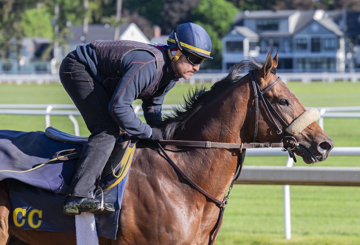 A couple shots of multiple Grade 1-winner FAR BRIDGE galloping yesterday over the Oklahoma.