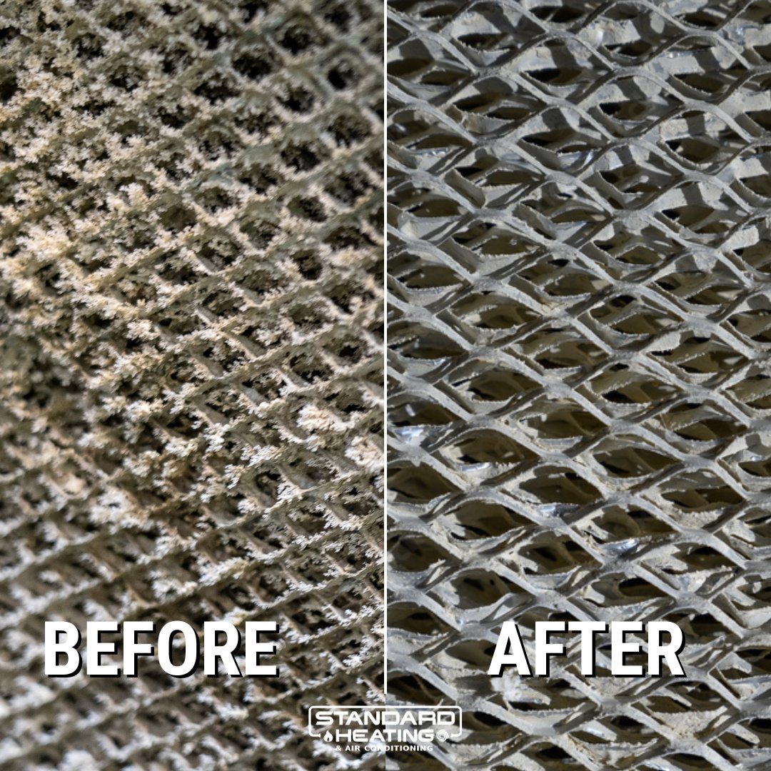 Check out the difference! 🌬️ Before and after changing the humidifier pad - your home will feel the difference! 💧 #AirQuality