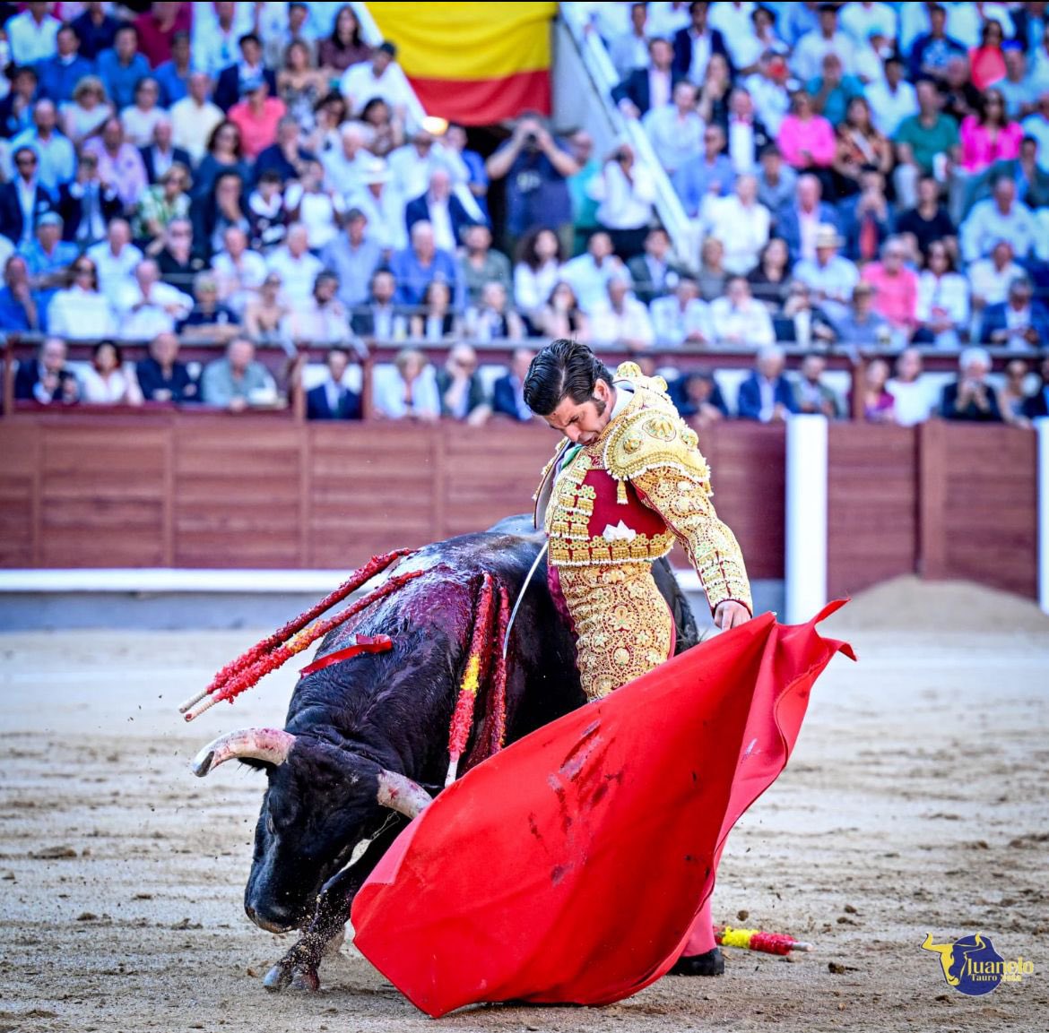 Obra maestra y bronca torera.

¡Más Morante imposible!