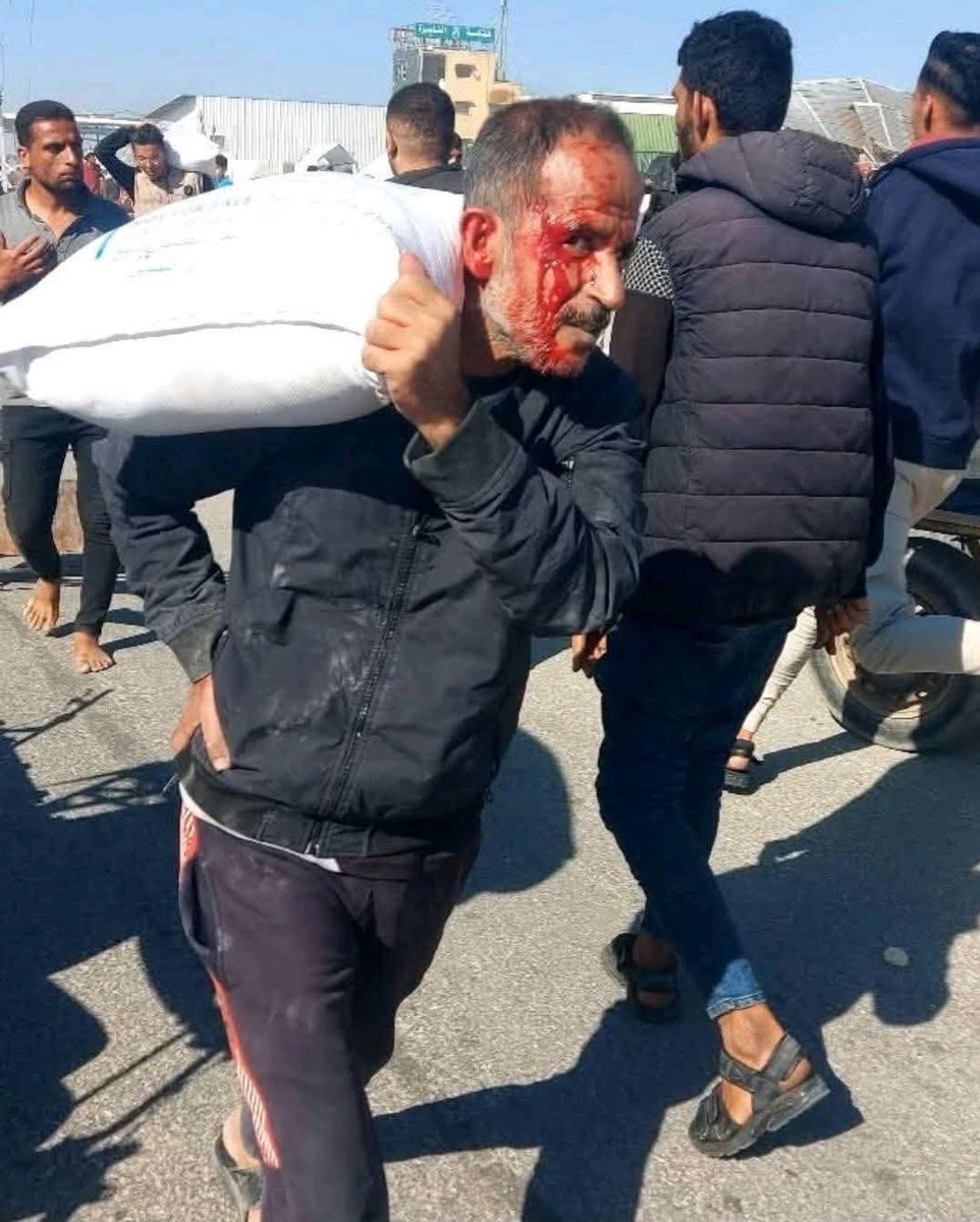 TIMES OF GAZA tweet media