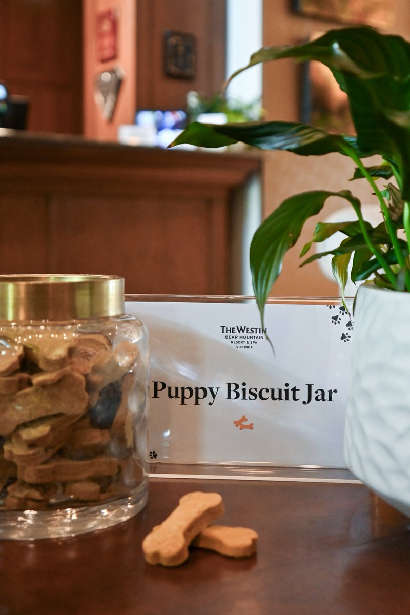 Did you know our treats for your beloved dog are thoughtfully made in-house? Crafted with care using quality ingredients, they’re available at our Front Desk — a small gesture to make sure every guest, including your four-legged companion, feels truly welcome.

Planning a getaway
