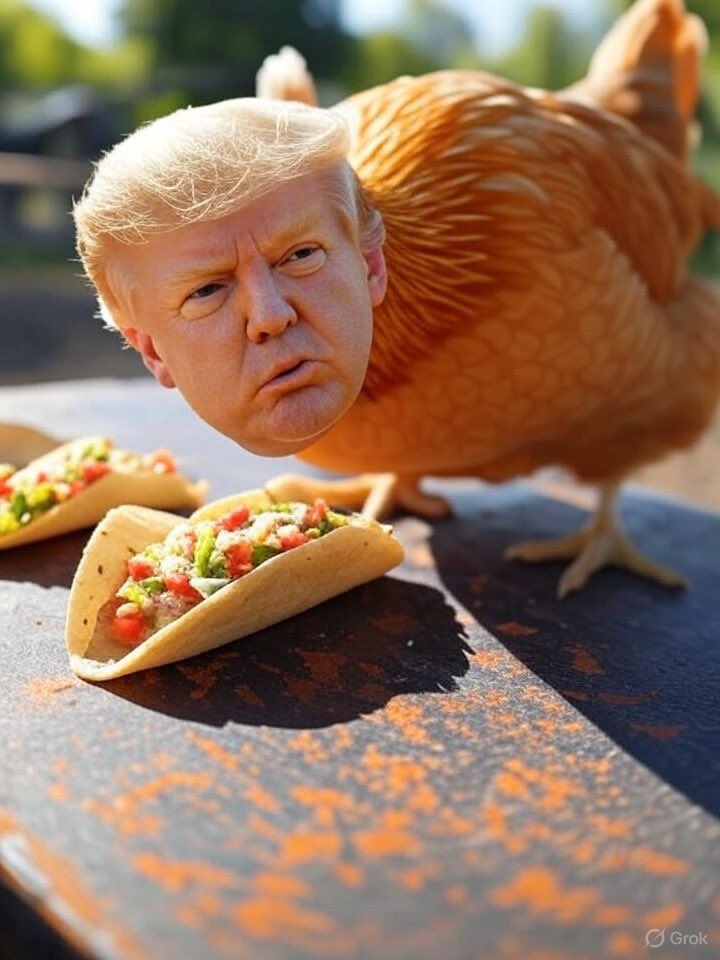 long17_de's tweet photo. I learned a new term today. TACO - Trump always chickens out. 

Tacos need to be added to the menu at the G7. https://t.co/K8hk6tIBmy