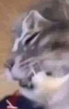 Si ves este tuit/post, deja un personaje o VTuber + el atuendo que quieres que le ponga.
Desde ropa sencilla hasta lencería.
Hombre o mujer.

Usaré una "base" de hace un chingo para tardar menos, además sería una ilustración sencilla con color plano ... A menos que tenga tiempo.