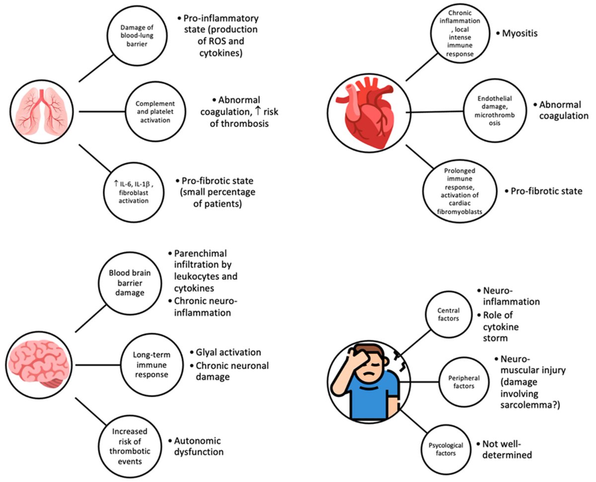 A new study examined the most common #LongCovid symptoms in young children, finding that infants and toddlers (&lt;2 years old) were more likely to experience trouble sleeping, fussiness, poor appetite, stuffy nose, and cough.  1/