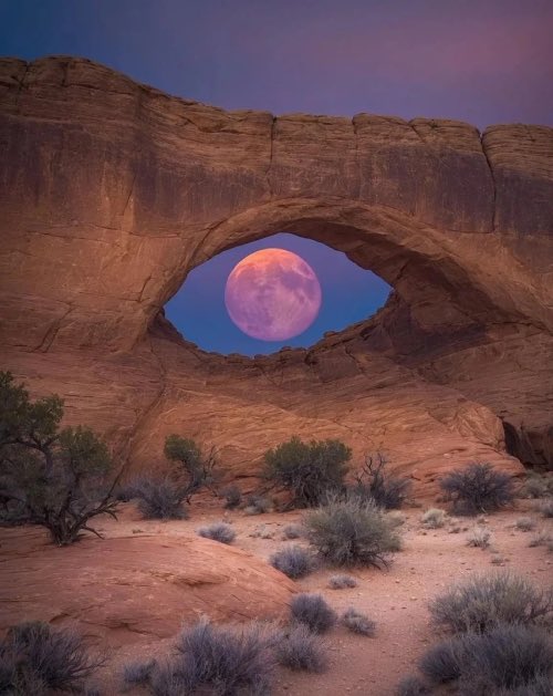 Le Monde de Léo tweet media