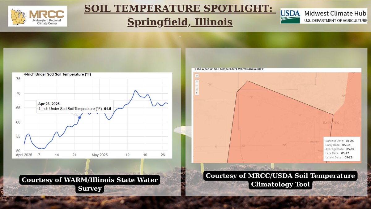 It appears that soil temperatures rose consistently above 60°F back on April 23 in Springfield, Illinois, which is very early-4-inch soil temps reaching 60°F in Springfield typically happens in May. 

🌱Soil Temperature Climatology Tool ➡️mrcc.purdue.edu/clim/Soil-T