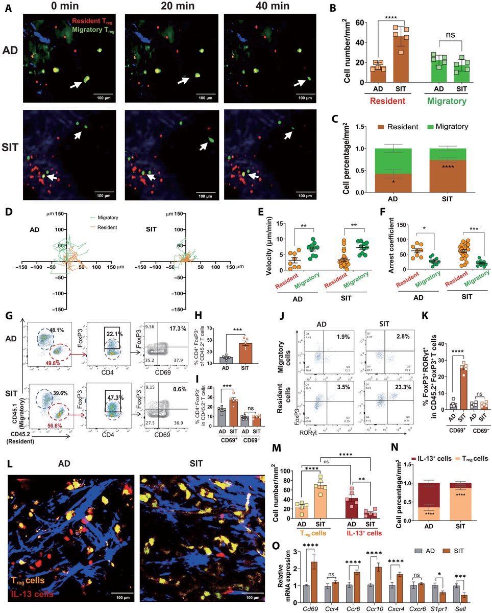 Waggoner Lab (@labwaggoner) on Twitter photo RORγt+FoxP3+ skin-resident regulatory T cells from the periphery contribute to the therapeutic benefit of allergen immunotherapy in atopic dermatitis
science.org/doi/10.1126/sc… <a href="/ScienceTM/">Science Translational Medicine</a> RORγt+FoxP3+ skin-resident regulatory T cells from the periphery contribute to the therapeutic benefit of allergen immunotherapy in atopic dermatitis
science.org/doi/10.1126/sc… <a href="/ScienceTM/">Science Translational Medicine</a>