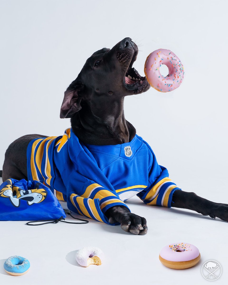 SabresPup's tweet image. How many donuts do you think I can catch? No chocolate of course! 🐶

#NationalDonutDay