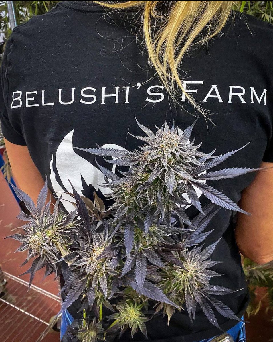 Belushi's Farm Oregon tweet media