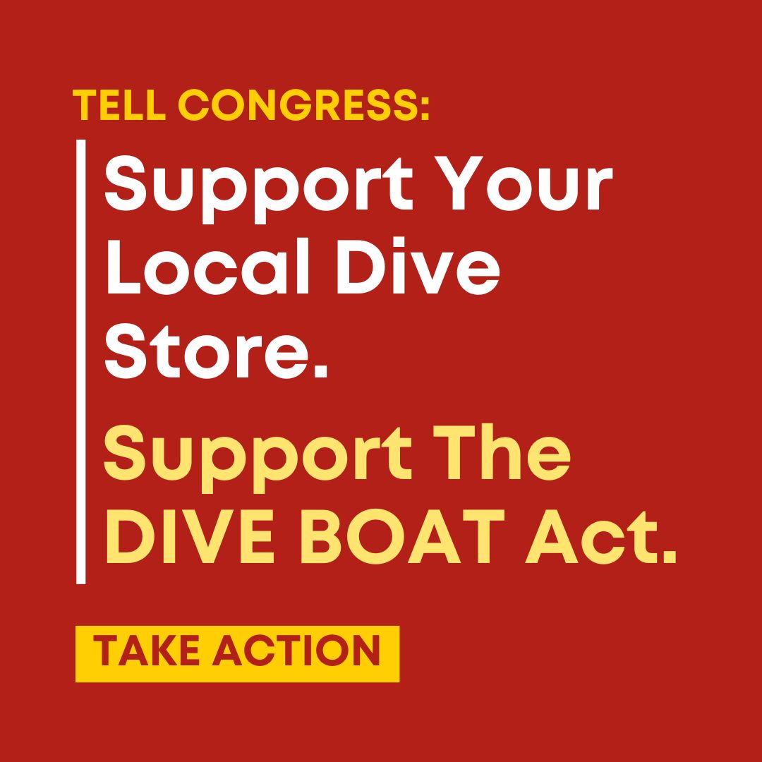 Divers, seeing a surge in the cost of dive trips? In 2022, Congress broke the insurance market for our community resulting in insurance prices skyrocketing &amp; dive biz having to raise prices to stay in business. Tell the NEW Congress to fix this mistake: bit.ly/TheDiveBoatAct