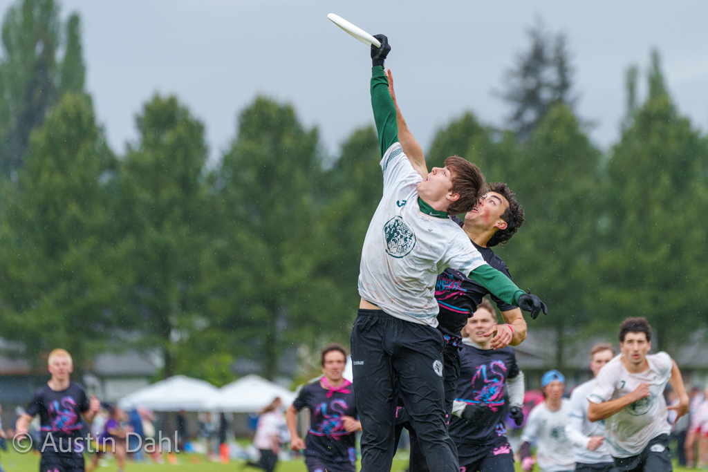 Austin Dahl tweet media