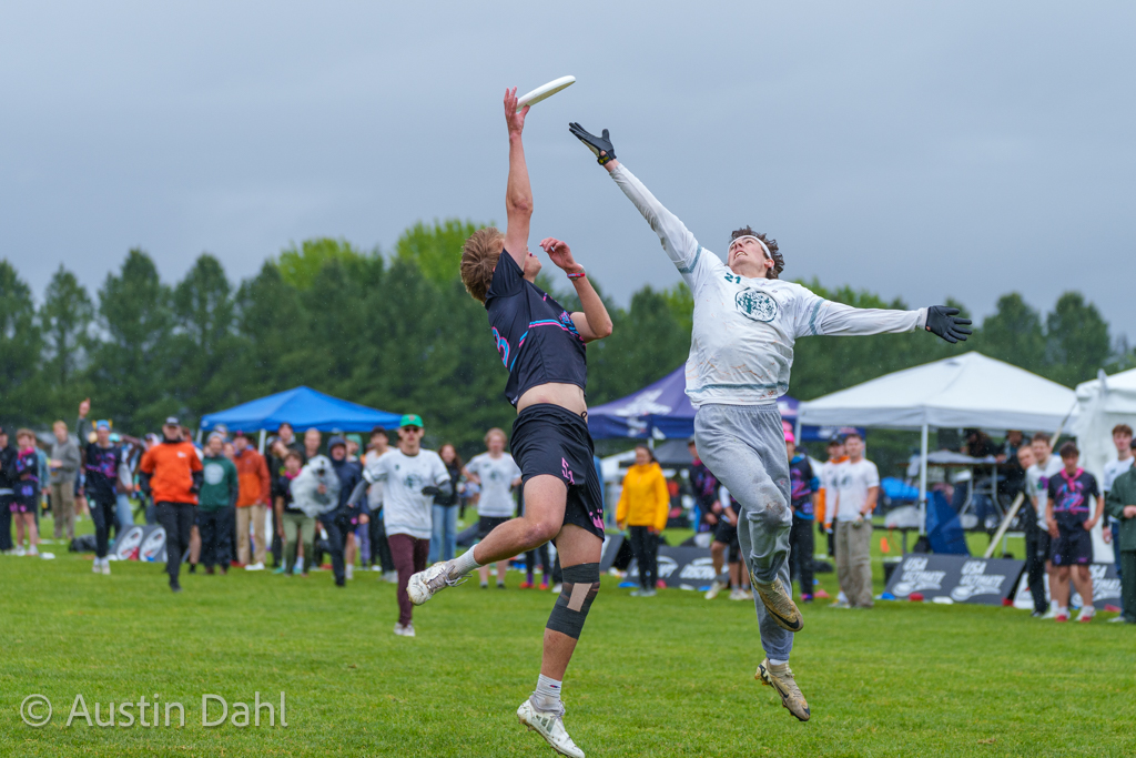 Austin Dahl tweet media