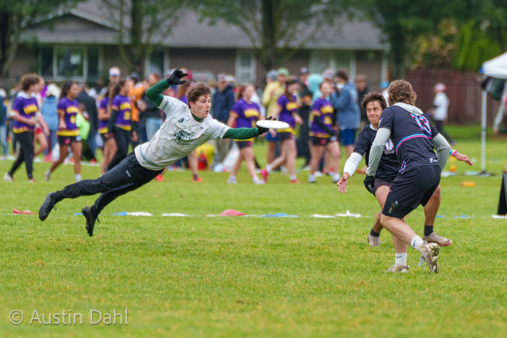 Austin Dahl tweet media