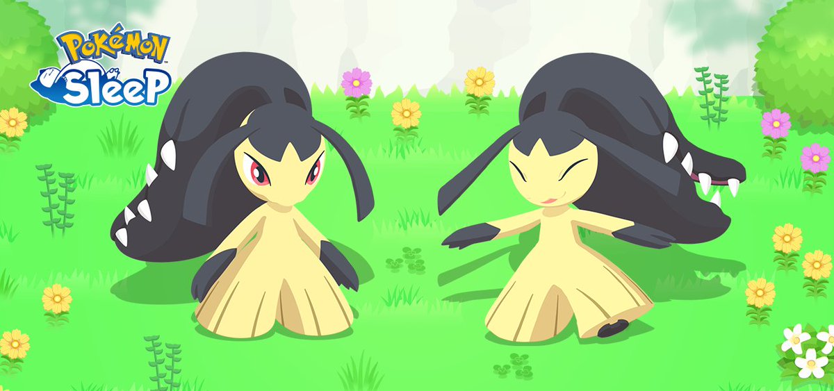 PokemonSleep's tweet photo. A Pokémon with a massive jaw has been spotted…Mawile is coming to #PokemonSleep!

Starting June 9, it will appear through Sleep Research at Greengrass Isle, Taupe Hollow, and Old Gold Power Plant. ✨

👇Details
https://t.co/sxXaAWZjnE https://t.co/5yG96IVfLh