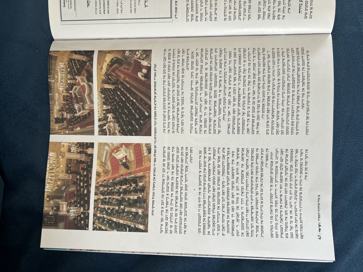 Goedele Liekens tweet media