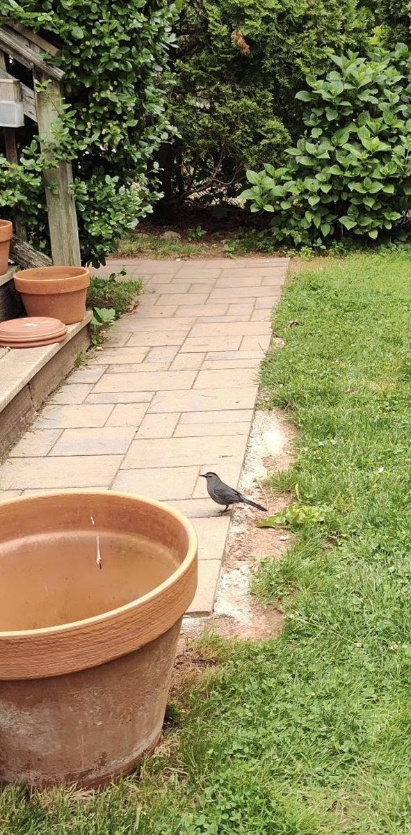 We have a visitor