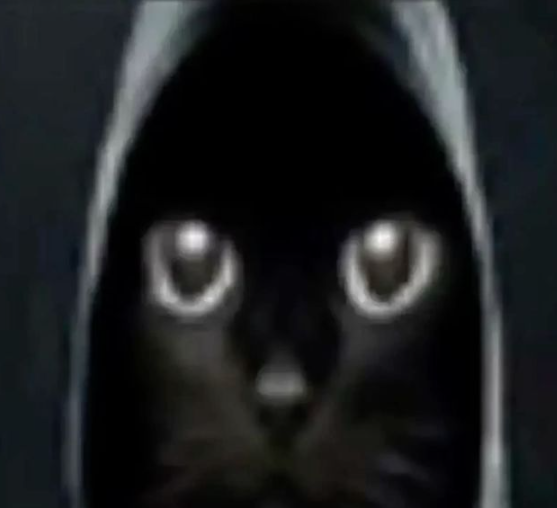 If I see controller highlights on ballistic or whatever with devo, p2020 1clips getting million likes Im gonna kms what im doing wrong if i dont get the same reponse?///???