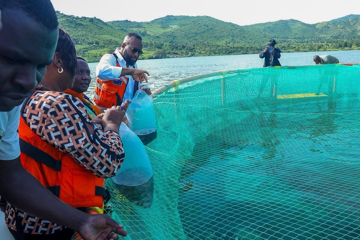 In our continued efforts to uplift communities at the grassroots, I visited Ngeri Beach in Suba South Constituency, where I handed over 12 fish cages, along with fingerlings and fish feed, to local fisherfolk.

Each cage can hold up to 33,000 fingerlings — a substantial