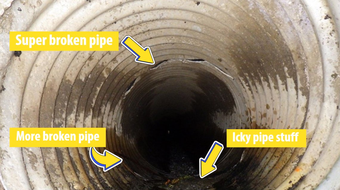 Road closure coming up on Sahalee Way NE btwn NE 50th St &amp; NE 37th Wy from 6/28-7/2🚧
When pipes below the road crack, water can seep into the soil and cause sinkholes– or a slide. We'll replace pipes below Sahalee Way NE to prevent damage to the road. KingCounty.gov/Sahalee-Way-NE