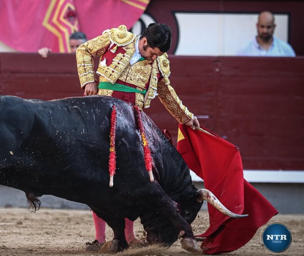 TercioQuites's tweet photo. Me estoy descojonando acordándome de los imbéciles que me ponían siempre en comentarios: "ahora que se lo haga al toro de Madrid".

😂😂😂, dementes. https://t.co/YlaZCifjyM