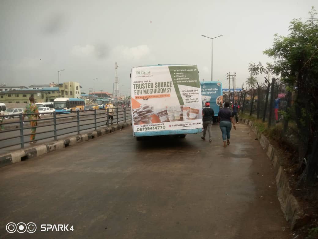 AgroprenuerEti |Mushroom plug in Lagos, Nigeria* (@etimbukimuk) on Twitter photo Guys, we are on BRT.
This girl is more than grateful.
The gospel of Mushrooms must be preached.
I'm coming with better pictures.
<a href="/akinwale_cfi/">Farmer Akin Alabi®</a>
<a href="/DamilolaAquila/">Dámilólá CHIOMA Adébanjo</a>
<a href="/Nig_Farmer/">NaijaFarmer</a> Guys, we are on BRT.
This girl is more than grateful.
The gospel of Mushrooms must be preached.
I'm coming with better pictures.
<a href="/akinwale_cfi/">Farmer Akin Alabi®</a>
<a href="/DamilolaAquila/">Dámilólá CHIOMA Adébanjo</a>
<a href="/Nig_Farmer/">NaijaFarmer</a>