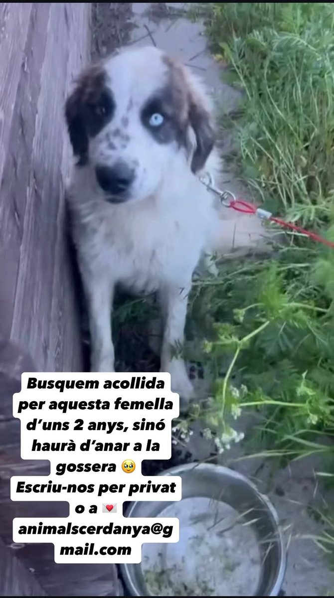 Que circuli si podeu fins que arribi on ha d'arribar.