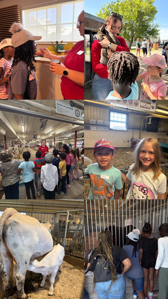 What. A. Day. 🐄🍯🌾
We had an absolute blast at the Agriculture Museum! Saw animals, tasted honey, played hard, and learned even more. A field trip to remember! 💛🚌 <a href="/PrincePeaceOCSB/">Prince of Peace School</a>