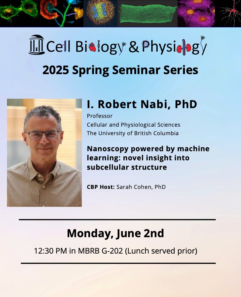 Cell Biology and Physiology at UNC (@unc_cbp) on Twitter photo Get a deeper look into the subcellular structures underlying cancer using super-resolution #Microscopy and #MachineLearning. Dr. I. Robert Nabi from <a href="/UBC/">University of British Columbia</a> will discuss this and more <a href="/UNC/">UNC-Chapel Hill</a> on Monday at 12:30 pm in MBRB, room G-202! #CancerResearch Get a deeper look into the subcellular structures underlying cancer using super-resolution #Microscopy and #MachineLearning. Dr. I. Robert Nabi from <a href="/UBC/">University of British Columbia</a> will discuss this and more <a href="/UNC/">UNC-Chapel Hill</a> on Monday at 12:30 pm in MBRB, room G-202! #CancerResearch